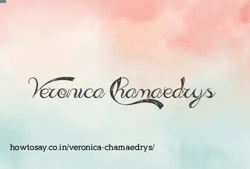 Veronica Chamaedrys