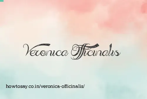 Veronica Officinalis