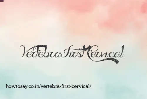 Vertebra First Cervical