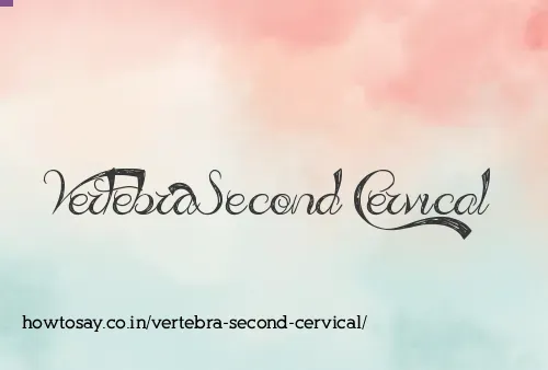 Vertebra Second Cervical