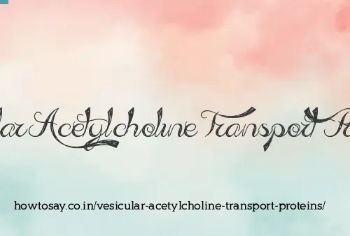 Vesicular Acetylcholine Transport Proteins