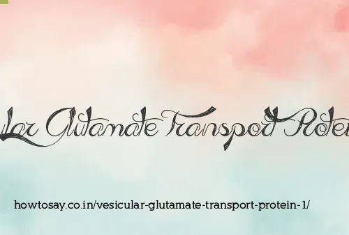 Vesicular Glutamate Transport Protein 1