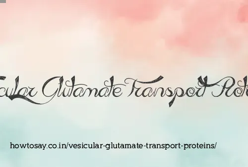 Vesicular Glutamate Transport Proteins