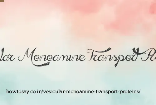 Vesicular Monoamine Transport Proteins