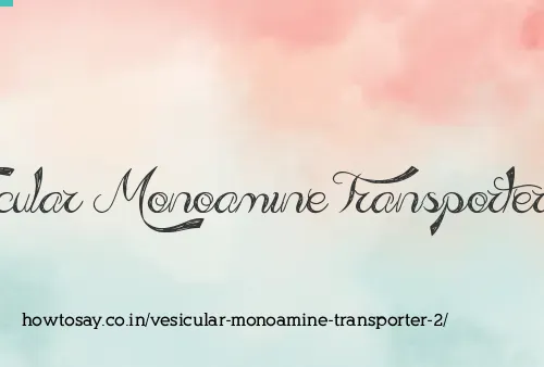 Vesicular Monoamine Transporter 2