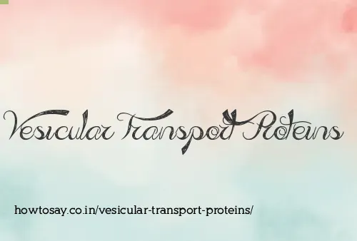Vesicular Transport Proteins