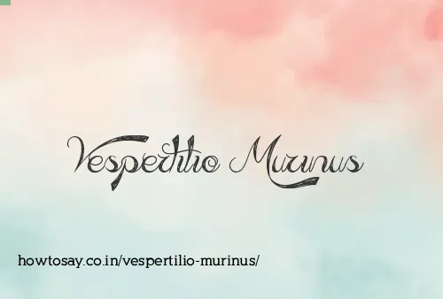 Vespertilio Murinus