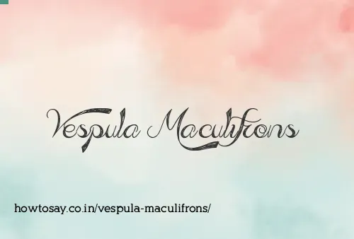 Vespula Maculifrons