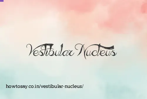 Vestibular Nucleus