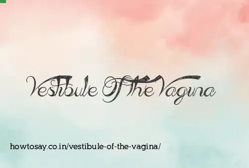 Vestibule Of The Vagina