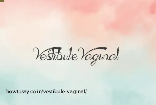 Vestibule Vaginal