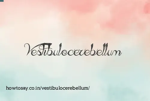 Vestibulocerebellum