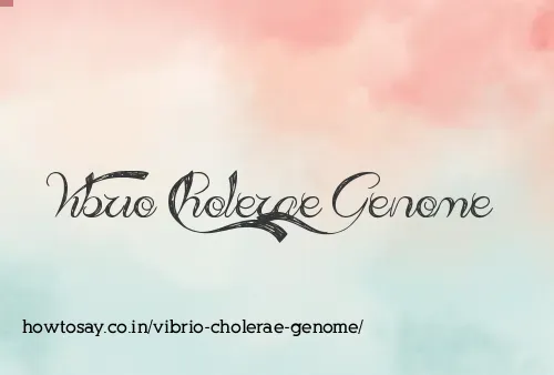 Vibrio Cholerae Genome