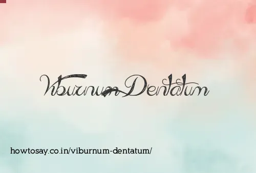 Viburnum Dentatum