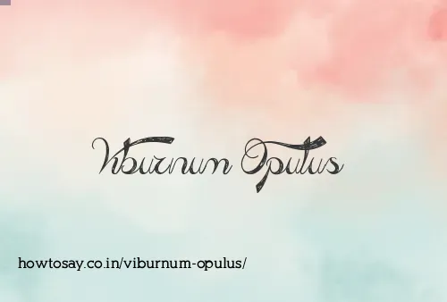 Viburnum Opulus