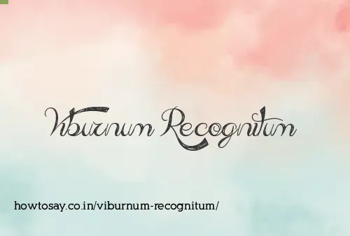 Viburnum Recognitum