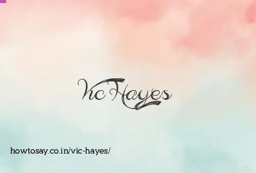 Vic Hayes