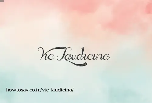 Vic Laudicina