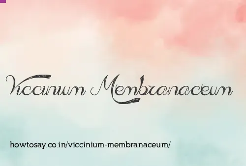 Viccinium Membranaceum