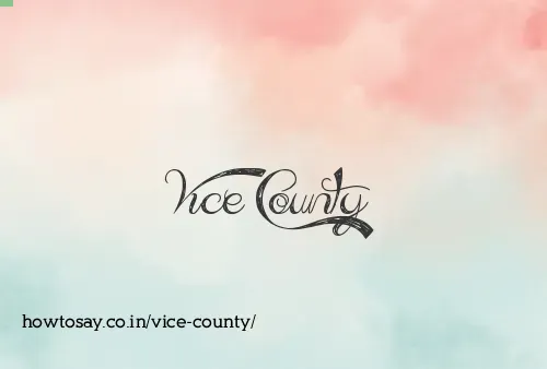 Vice County
