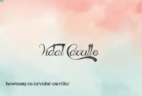 Vidal Carrillo