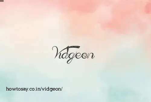 Vidgeon