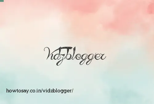 Vidzblogger