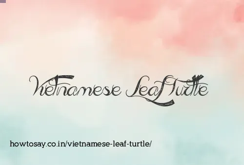 Vietnamese Leaf Turtle