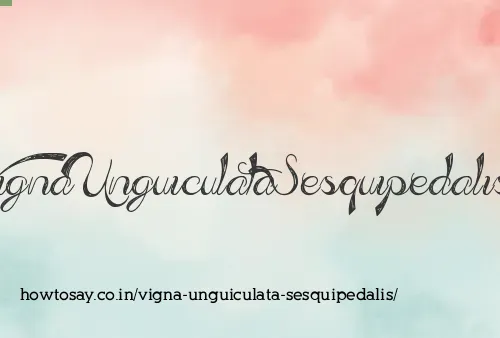 Vigna Unguiculata Sesquipedalis