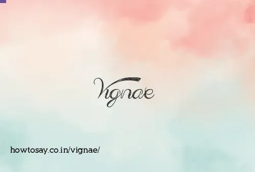 Vignae