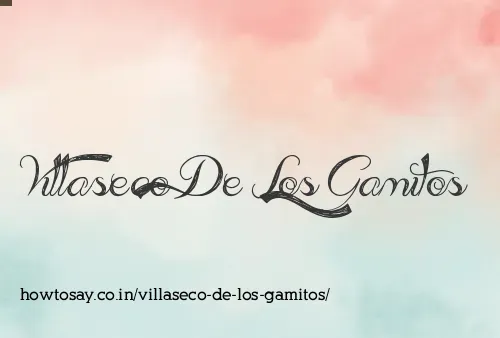 Villaseco De Los Gamitos