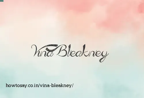 Vina Bleakney