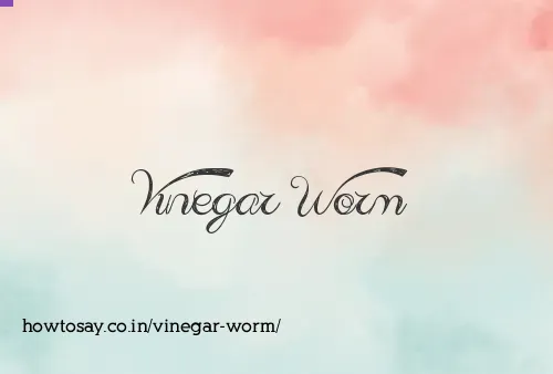 Vinegar Worm