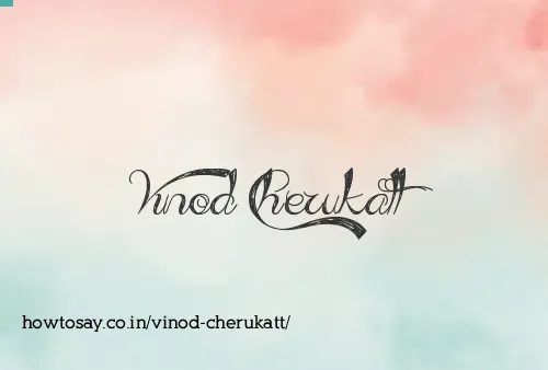Vinod Cherukatt