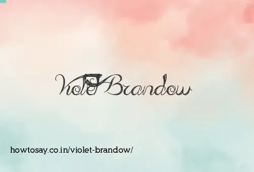 Violet Brandow