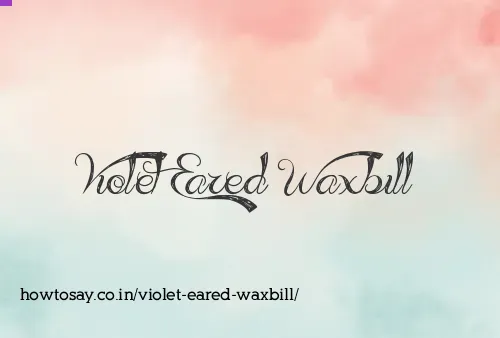Violet Eared Waxbill