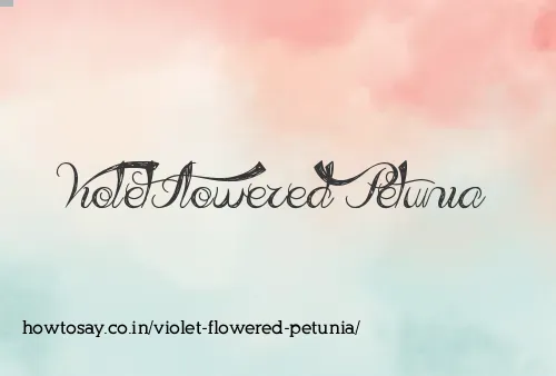 Violet Flowered Petunia
