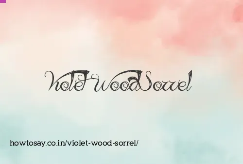Violet Wood Sorrel