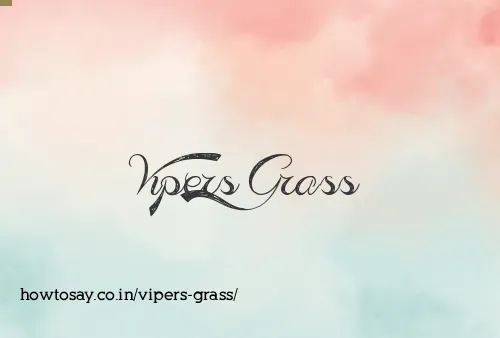 Vipers Grass