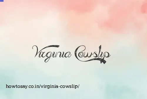Virginia Cowslip
