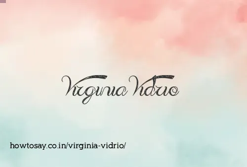 Virginia Vidrio