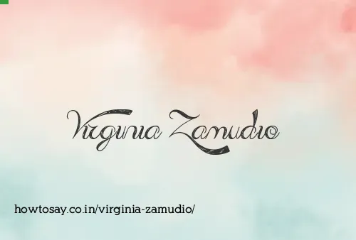 Virginia Zamudio