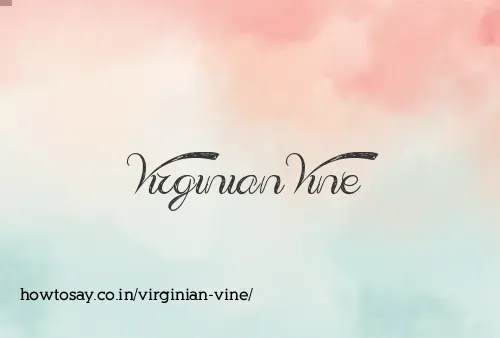 Virginian Vine
