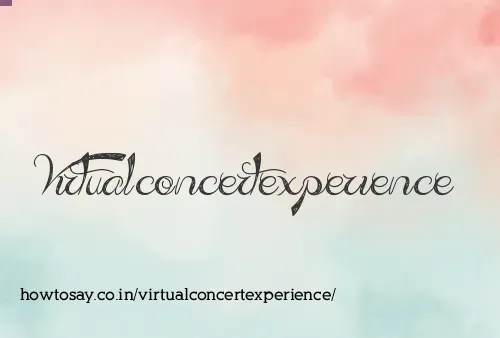 Virtualconcertexperience