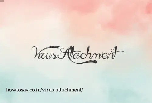 Virus Attachment