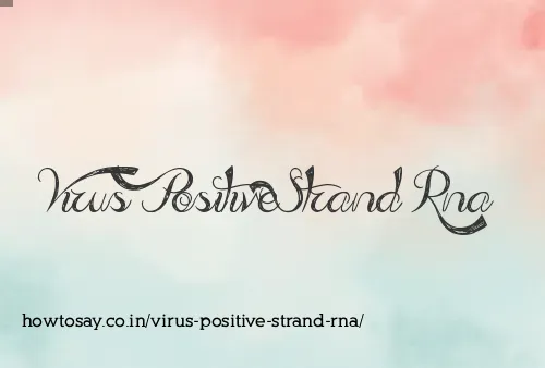 Virus Positive Strand Rna