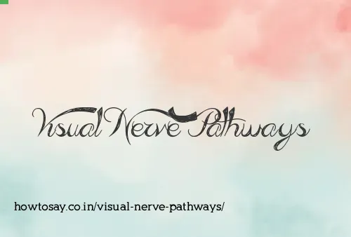 Visual Nerve Pathways