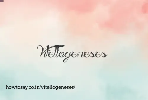 Vitellogeneses