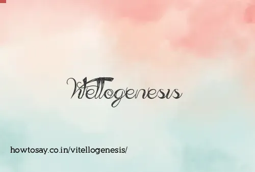 Vitellogenesis