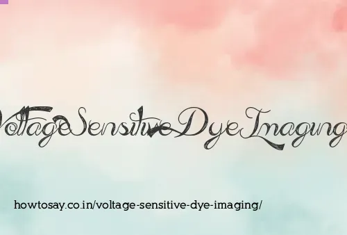 Voltage Sensitive Dye Imaging